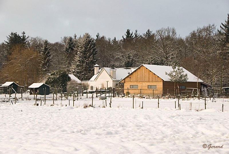Sneeuwlandschap Verkensbos 2.jpg - Sneeuwlandschap Verkensbos